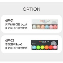 돌잔치 선물용 부사 나주배, 컬러(블랙box)
