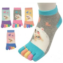 여성 사랑곰 발가락양말 5켤레