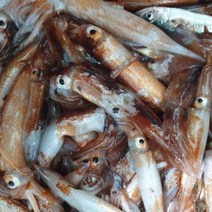 국내산 동해안 미니 오징어 1kg 12~15미 통찜 통찜용 한입 냉동 통오징어