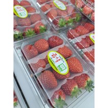금실딸기 500g 팩