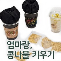 노란 초록 콩나물 키우기 키트 엄마랑 함께 키워요