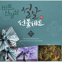 산양삼 장뇌삼 7년근 6뿌리 명절선물 장뇌삼 장뇌산삼7년근 6뿌리 산양산삼 바른산양삼