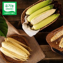 이호 강원도 홍천 유기농 찰 옥수수 여름 간식 10개 20개 30개, 이호 유기농 강원도 옥수수 30개
