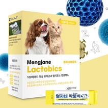 강아지 유산균 오일타입 프리미엄 고양이 공용 100억 유산균 영양제 멀티효소 1개월