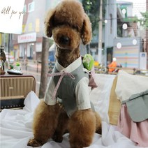설 강아지 남아 여아 생활한복 면 개량한복 설빔