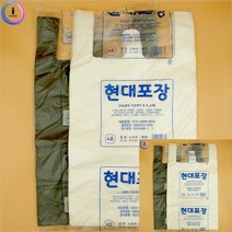 손잡이비닐봉투 시장 마트비닐봉지 속지비닐 10L 비닐봉투 봉지, 흰색