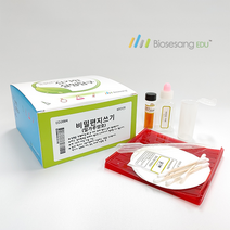 비밀 편지쓰기 과학 실험 키트 (5인), 단품