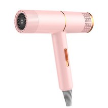 팻트라이룸 애견 드라이기 전문가용 블루레이 음이온 헤어 드라이어 220V 가정용 강력한 지속적인 전기, 04 pink_02 EU