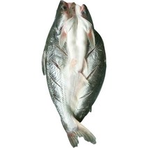 반제품 버들치 도매용 풀박스 통마리 무접점 등을 돌리는 물고기 대발 전선형, 1개, T10-1g 능성어 메콩고기-5 조목조목