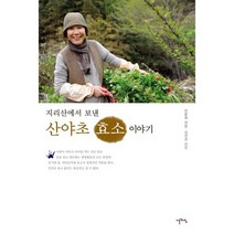 지리산에서 보낸 산야초 효소 이야기 : 개정판