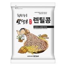 힘찬농부오달봉 수입산 렌틸콩 브라운렌틸콩 렌즈콩, 1포, 1kg