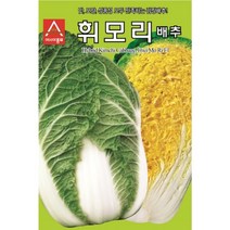 휘모리 배추 씨앗 1000립 김장 전용 배추김치 종자 식미 우수 중록 얇은 상품성 좋음 텃밭 채소 농사