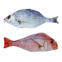 참돔/은어 생선 필통 + 사은품 증정, 참돔