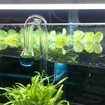 co2 fish tank diffuse glass drop checker for co2 monitor glass drop checker ph long term indicator m, 빗방울, 1개