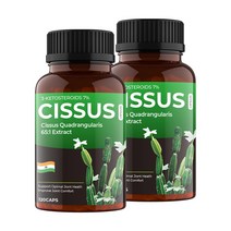 비카인 인도산 시서스 가루 100% 65배 고농축 추출분말 캡슐 1000mg, 240정 - 3% 추가할인