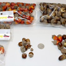 영영하우스 도토리 모형, 100입-밤색