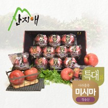 [산지애]블랙라벨 고당도 세척사과(특대과) 3kg(1박스) / 미시마, 단품