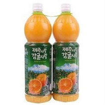 [메가마트]제주 감귤 주스 1200ml * 2본, 2개