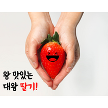 팜투패밀리 왕 맛있는 충남 논산 킹스베리 대왕 딸기 350g 700g 1KG, 킹스베리 350g 6~8개입 개당 45g