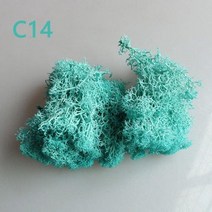 인공 식물 영원한 생명 이끼 정원 홈 웨딩 크리스마스 장식 벽 DIY 꽃 마이크로 조경 액세서리, C14