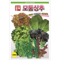 상추 모둠 종자 씨앗 쌈채소 샐러드 수경재배 [오디가 ODIGA], 그 외 종자, 레드프릴 적세엽겨자