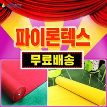 지에스티지 파이론텍스