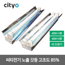 씨티 형광등기구 노출갓등 40W1등 40W2등 고조도85%, 13998_노출갓등40W 2등