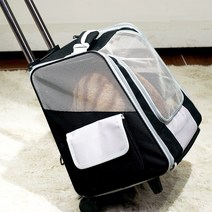 애블리즈 고양이 이동장 가방 백팩 캐리어, 블랙