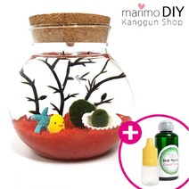 LED어항 350ml세트-마리모 1.5cm 유리자갈 레드 diy 키트