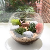 비오스 다육 테라리움 DIY 키트 - 동물 시리즈(15cm) 다육식물 DIY세트, 1번