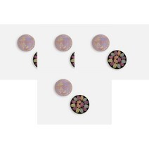 메종브아시에 T0 과일 리골렛 100g Maison Boissier Rigolettes fruits, 4팩