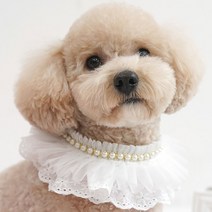 모모스페이스 강아지 생일 파티 케이프 파티 진주 턱받이 스카프 애견 고양이 레이스, 민트