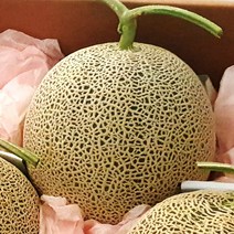 [ 고당도 kings 메론 ] 크기부터 남다른 머스크 메론 3kg 6kg 8kg 선물세트 멜론 과일 세트 고창 곡성 창원 등 산지출하, 1박스, 머스크 메론 멜론 선물세트 2과 (외피포장)