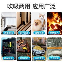 집진기 미세먼지 소형 용 이동식집진기 Dayi 충전식 리튬 전기 먼지 송풍기 헤어 드라이어 고전력 가정용 무선 컴퓨터, [09] 【1】