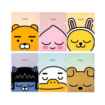 카카오프렌즈 L홀더 화일 파일 L자화일, 어피치