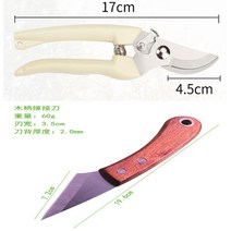 접목칼 다기능 접목 공구 과수 나무 접목 원예 전용칼, 3cr 나무자루 1 + 가지치기 가위