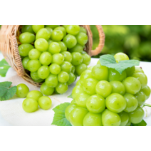 프리미엄 샤인머스켓 1kg 포도 청포도 크림슨포도 머루포도 거봉, 1개, 4kg