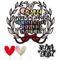 비비드레인 생신 케이크토퍼, 101-어제보다오늘더(울엄마)+픽3개