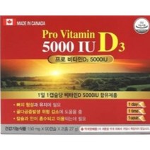 캐나다 직수입 프로 비타민 D3 5000IU 90캡슐, 2개