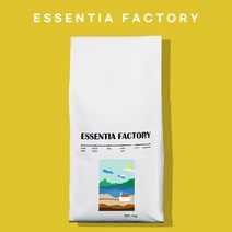 에센티아팩토리 당일로스팅 블랜드 고소한 마일드 원두 커피 강배전 홀빈 1kg coffee blend, 올인원, 핸드드립&커피메이커