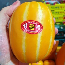 달콤한 제철 성주 꿀참외 고당도 로열과, 가정용 실속형 크기 랜덤(기본포장) 1.5kg