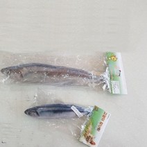 고양이 장난감 꽁치(20cm), 20개