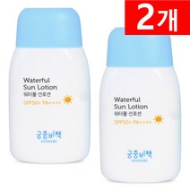 궁중비책 워터풀 선로션 80g, 2개