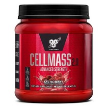 비에스엔 셀 매스 2.0 아크틱 베리 495g 운동후 Cellmass BCAA, 1개