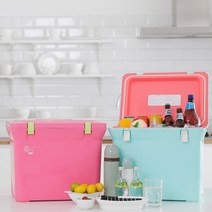 엔플라스틱 아쿠아 아이스박스 28L, 핑크