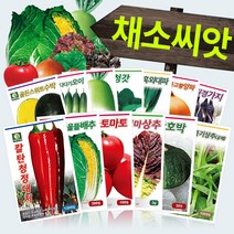 다농 채소 씨앗모음전 - 열매채소 뿌리채소 잎채소 쌈채소 고추 토마토 배추 무 상추 갓 파 부추 호박 가지 딸기 오이 멜론 여주 수세미 박 씨앗 종자, AK05=천주중고황양파씨앗5g!