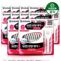 [유한양행] 유한덴탈케어 기구형치실 12입 x 10개, 상세 설명 참조