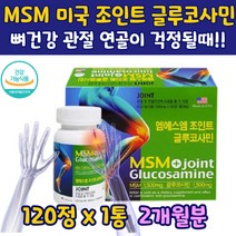 미국 엠에스 조인트 글루코사민 어깨 무릎 관절 1박스 중년 노년 50 60대 연골 손목 팔꿈치 다리 무릎 손가락 상어연골 녹색잎홍합 피쉬골라겐 추출물 분말 함유