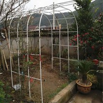 터널형 넝쿨 아치문 장미 아치대문 포도나무지지대 나팔꽃지지대 식물지지대 옥상정원, 흰색폭 3m 2.2m 높이  + 기본개