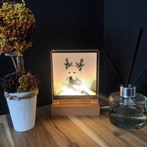 주문제작 10cm 아크릴무드등 반려동물생일 애완용품 강아지 고양이선물 애견납골당 애완동물, 우드